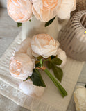 Peony bunch