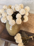 The mini cream Pom Pom bunch