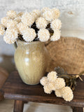 The mini cream Pom Pom bunch