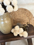 The mini cream Pom Pom bunch