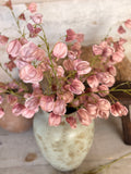 The blush lantern flowers