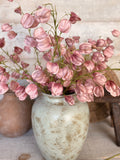 The blush lantern flowers