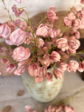 The blush lantern flowers