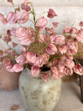 The blush lantern flowers