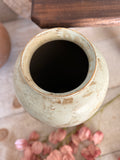 The robins egg vase