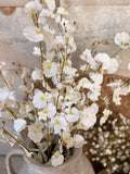 White orchids