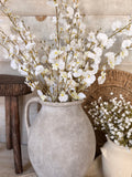 White orchids