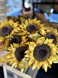 Sunflower stem