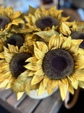 Sunflower stem