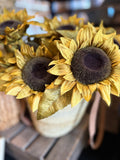 Sunflower stem