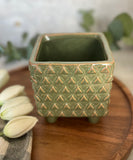 green raised planter