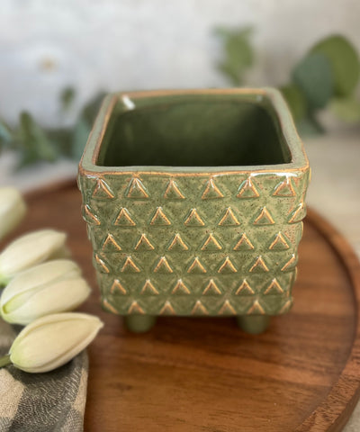 green raised planter