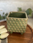 green raised planter
