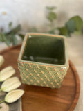 green raised planter