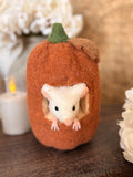 Peaking mouse pumpkin