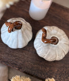 Ceramic pumpkin