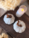 Ceramic pumpkin