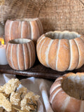 Cement pumpkin planter