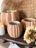 Cement pumpkin planter