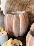 Cement pumpkin planter