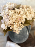 The blush dusted hydrangea