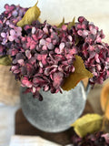 Dark plum hydrangea