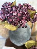 Dark plum hydrangea