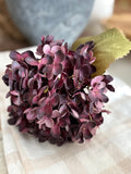 Dark plum hydrangea