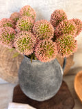 Blush allium bouquet
