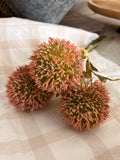 Blush allium bouquet