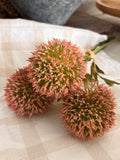 Blush allium bouquet