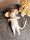 Mushroom cap the mouse ornament
