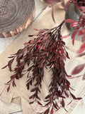 Red leaf floral