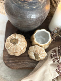 Mini pumpkin jar with lid