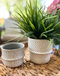 The dotted planter