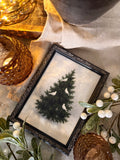 Vintage Christmas dove tree print