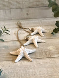 Hanging Starfish Trio