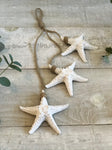 Hanging Starfish Trio