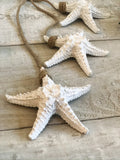 Hanging Starfish Trio