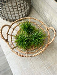 The seagrass basket tray